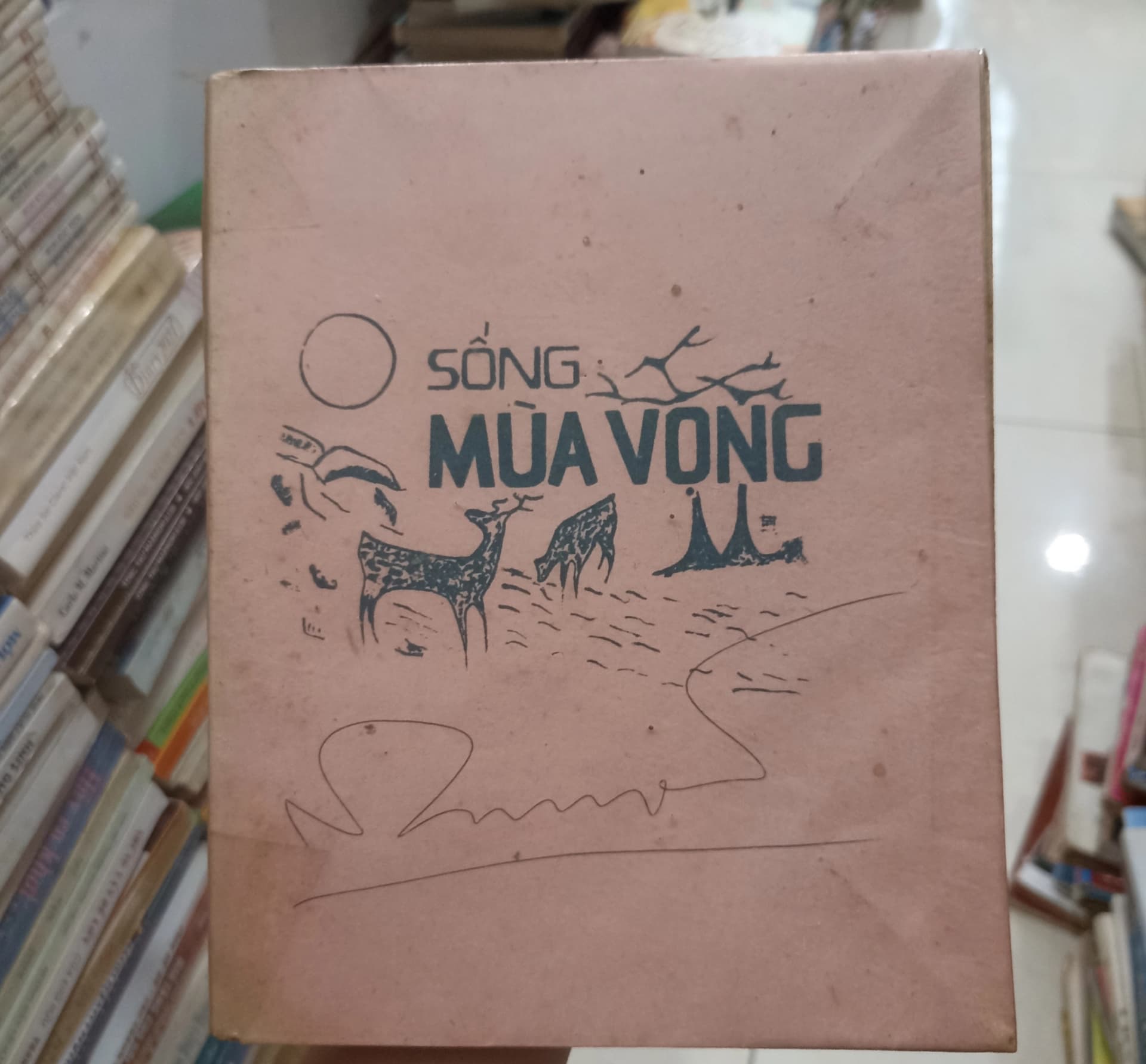 Sống mùa vọng - Image 1
