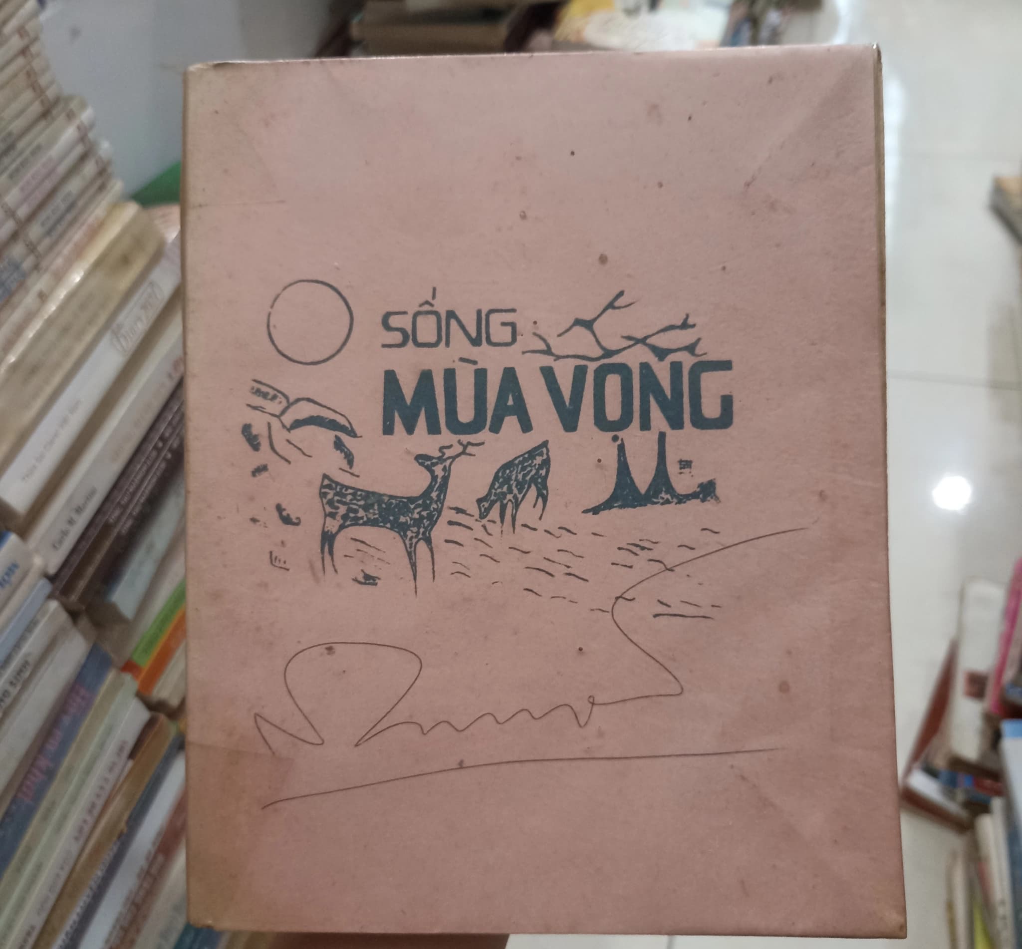 Sống mùa vọng - Image 1