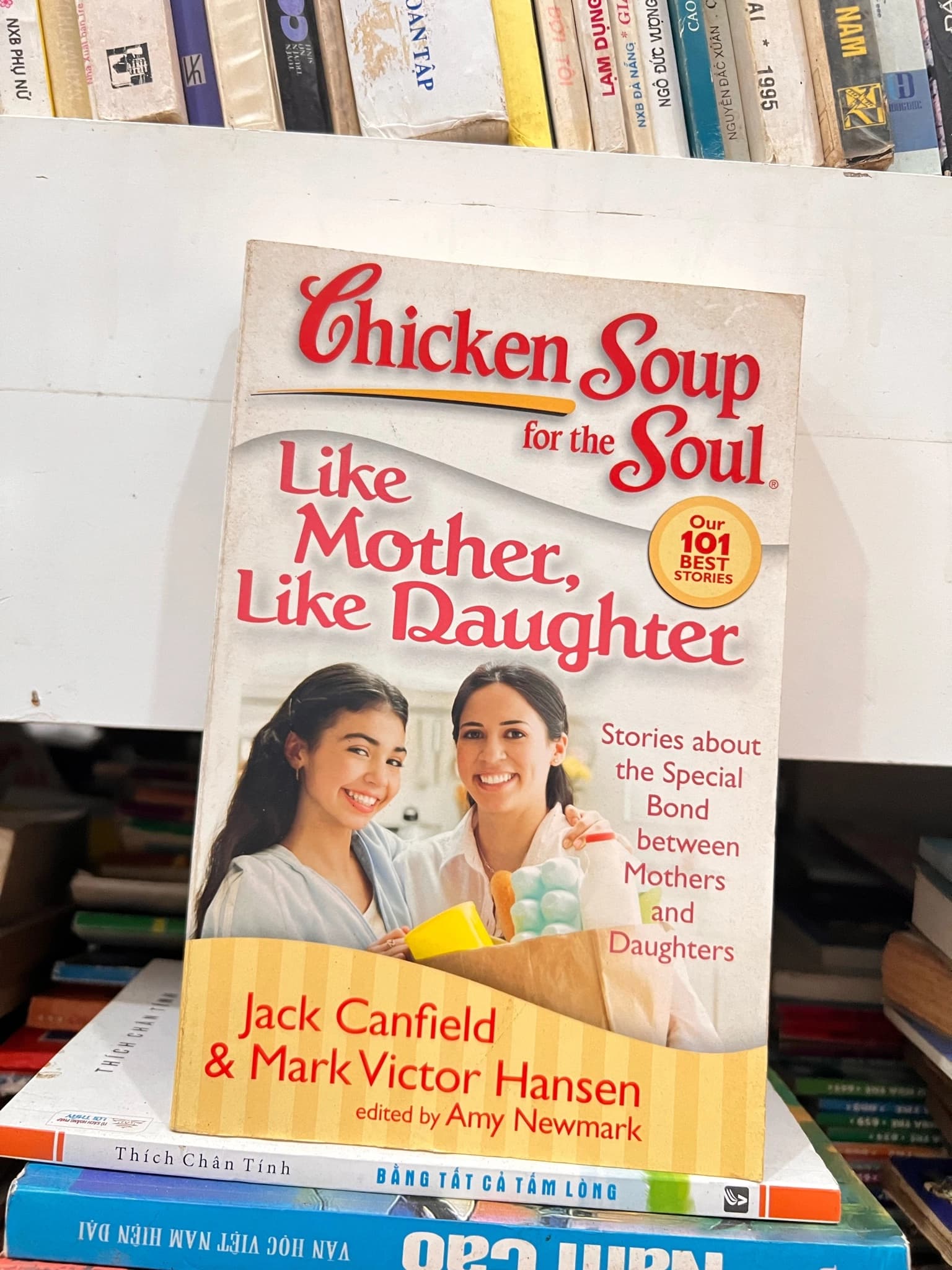 Chicken Soup for the Soul: Like Mother, Like Daughter - Image 1