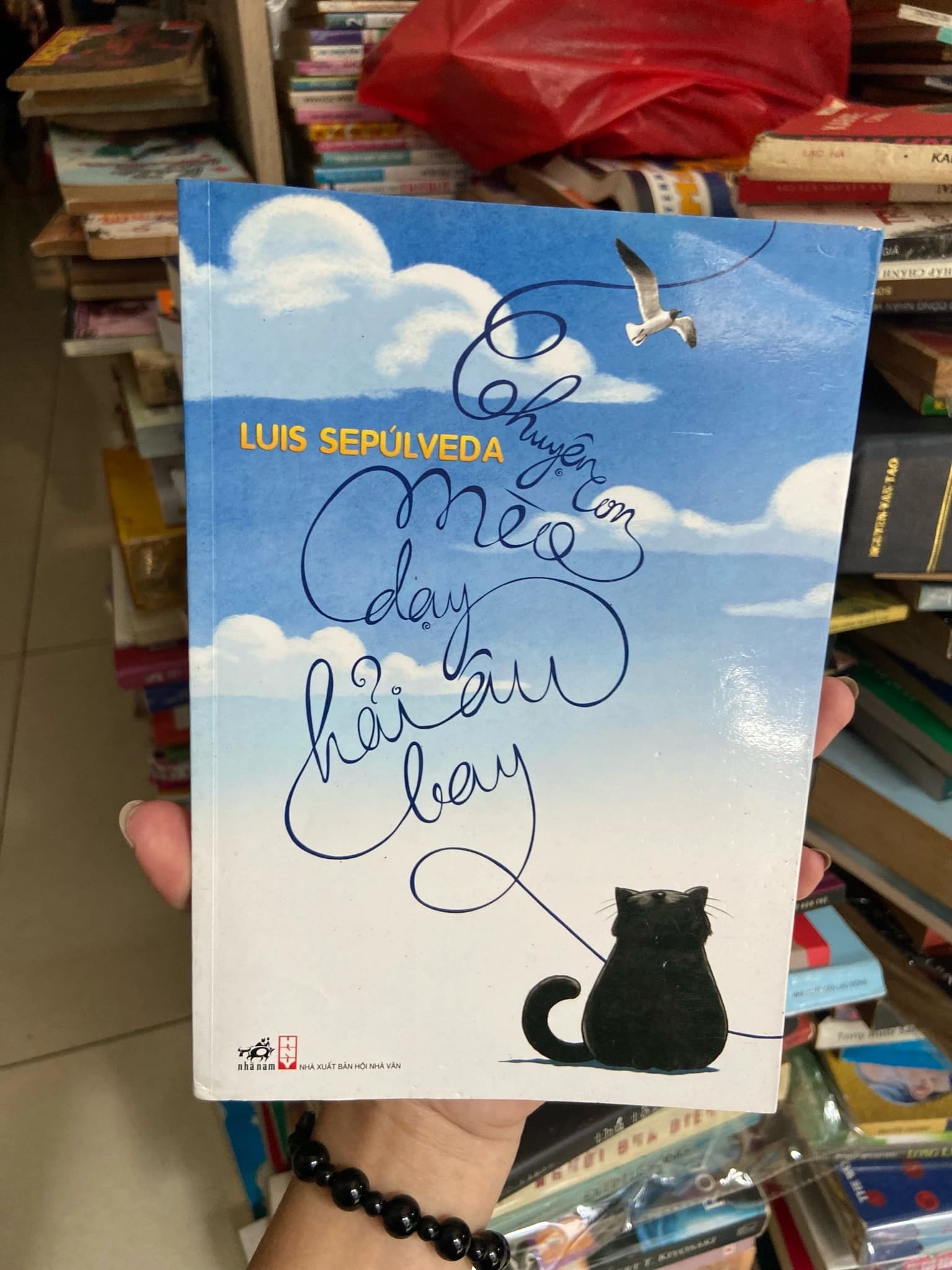 Chuyện con mèo dạy hải âu bay ️ - Image 1