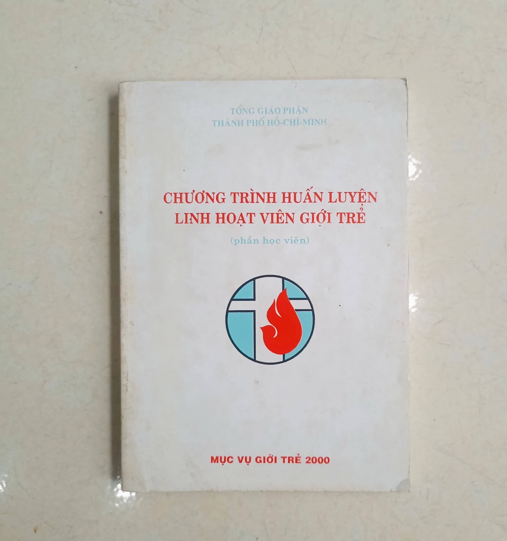 Chương trình huấn luyện linh hoạt viên giới trẻ - Image 1