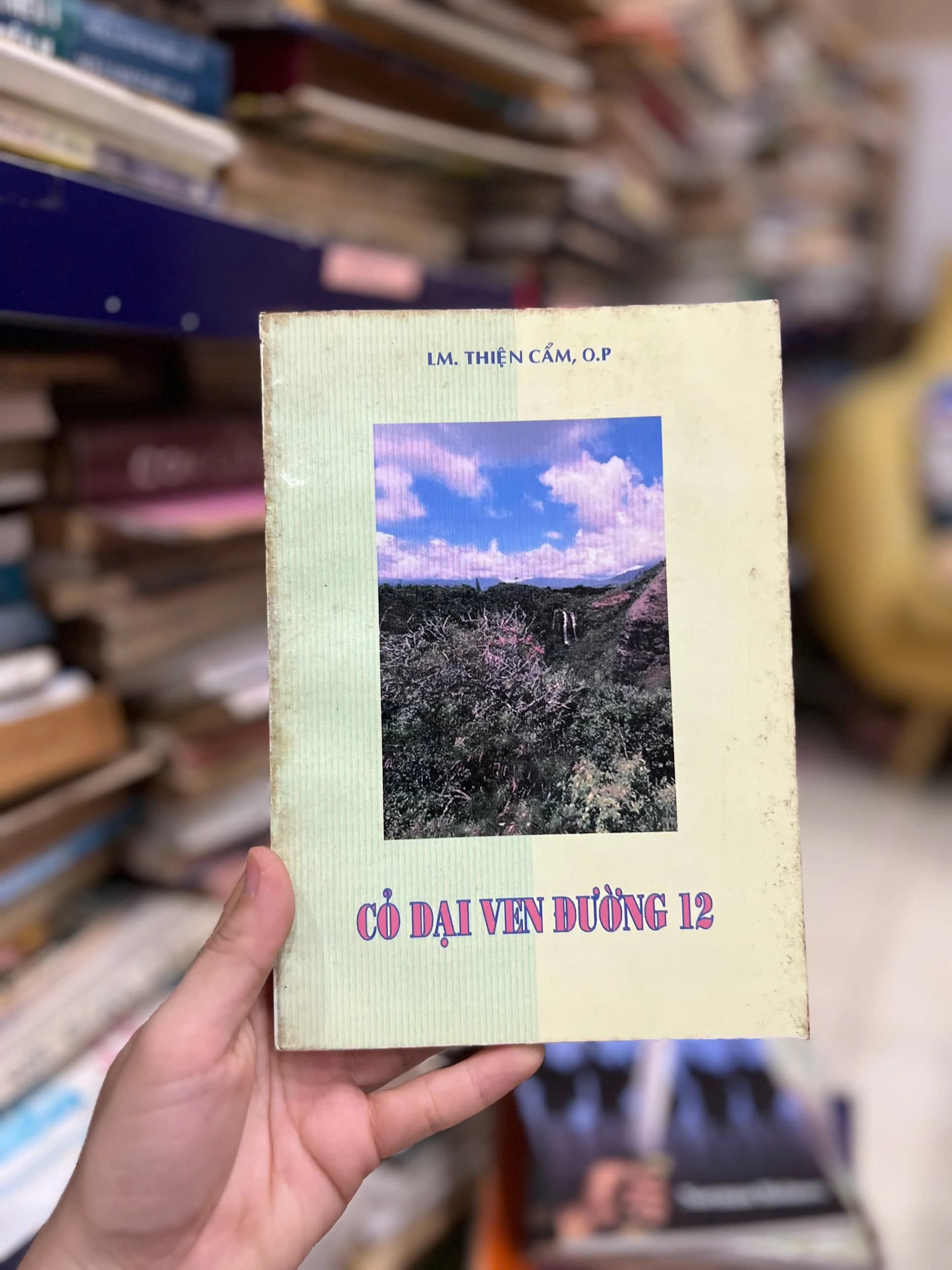 Cỏ Dại Ven Đường 12 - Image 1