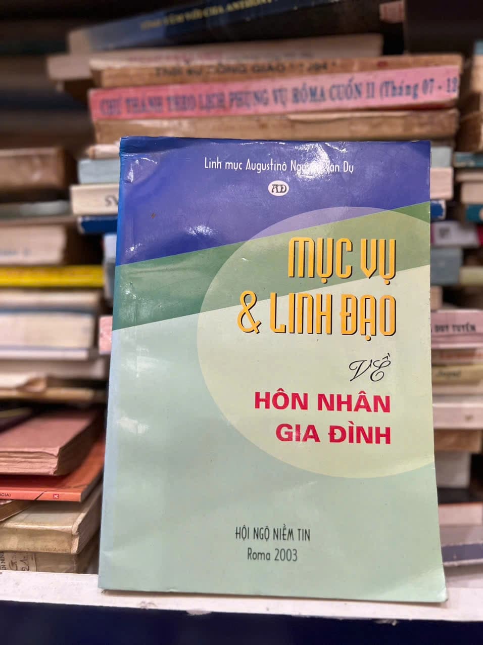 Mục Vụ Và Linh Đạo Về Hôn Nhân Gia Đình - Image 1