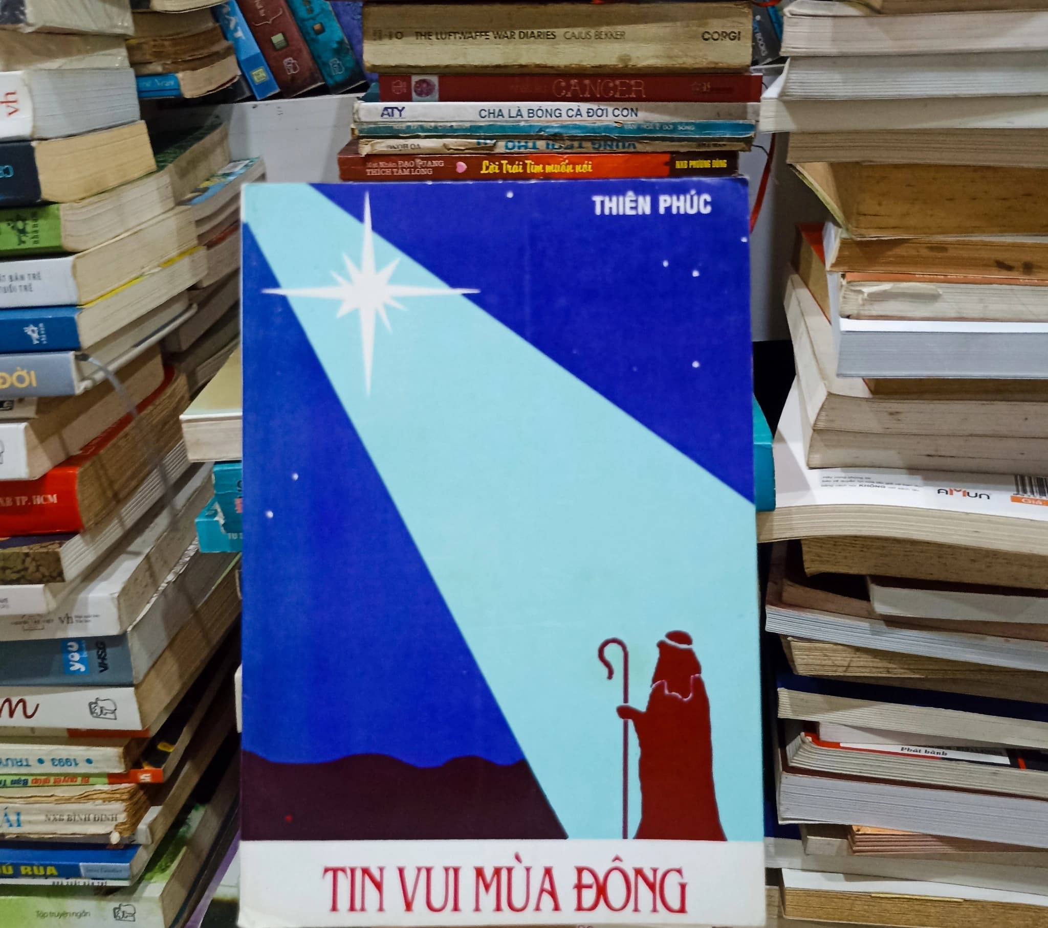 Tin vui mùa đông - Image 1