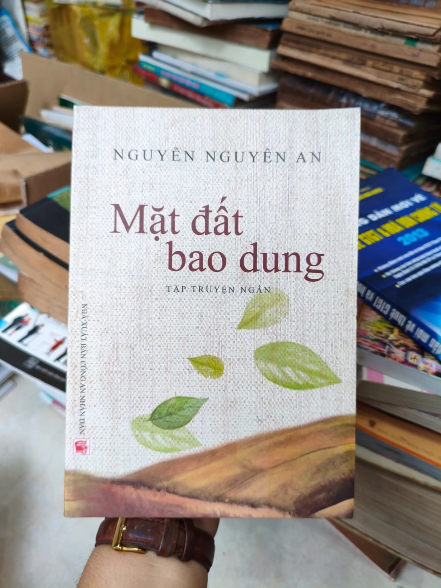 Mặt đất bao dung - Image 1