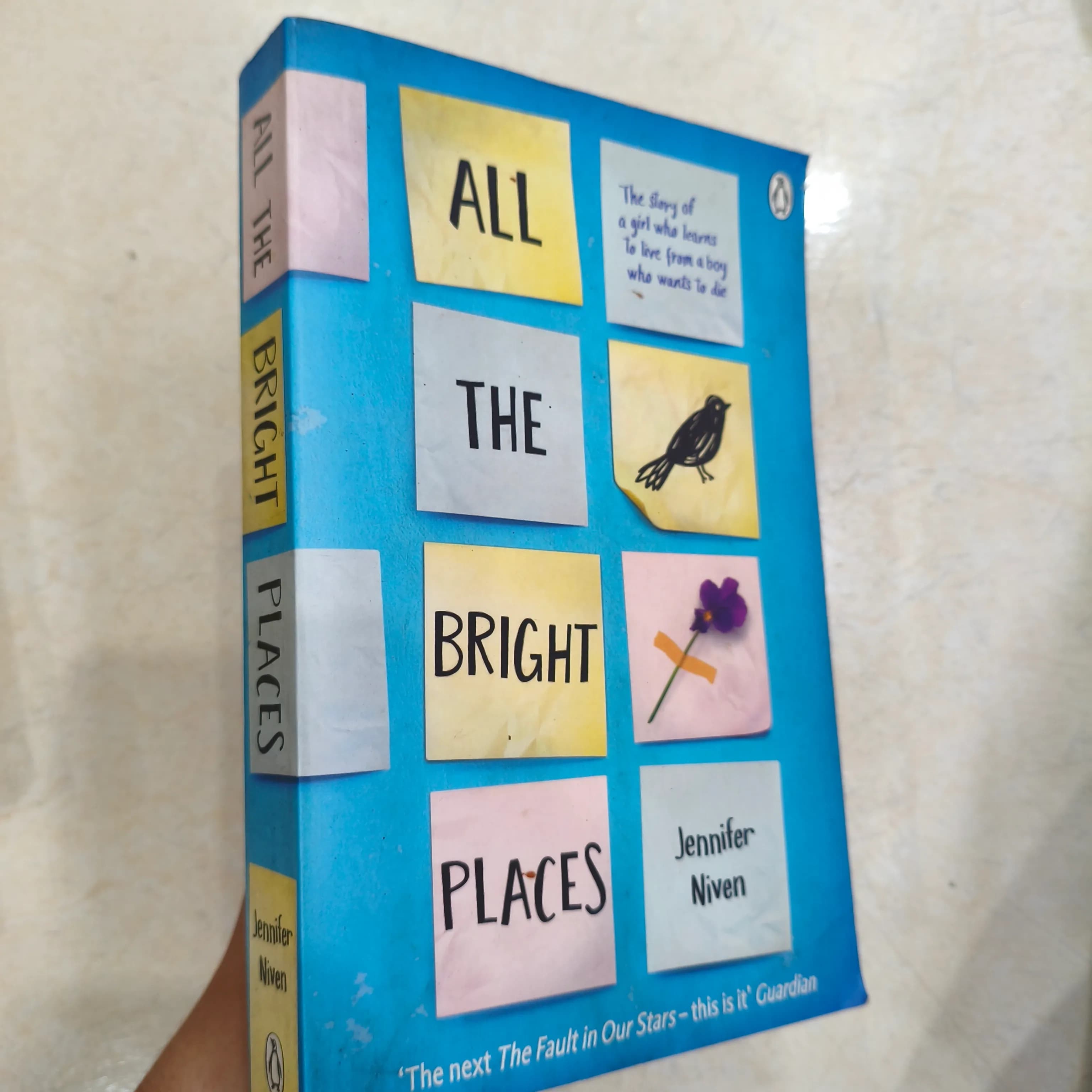 All the Bright Places - Image 1
