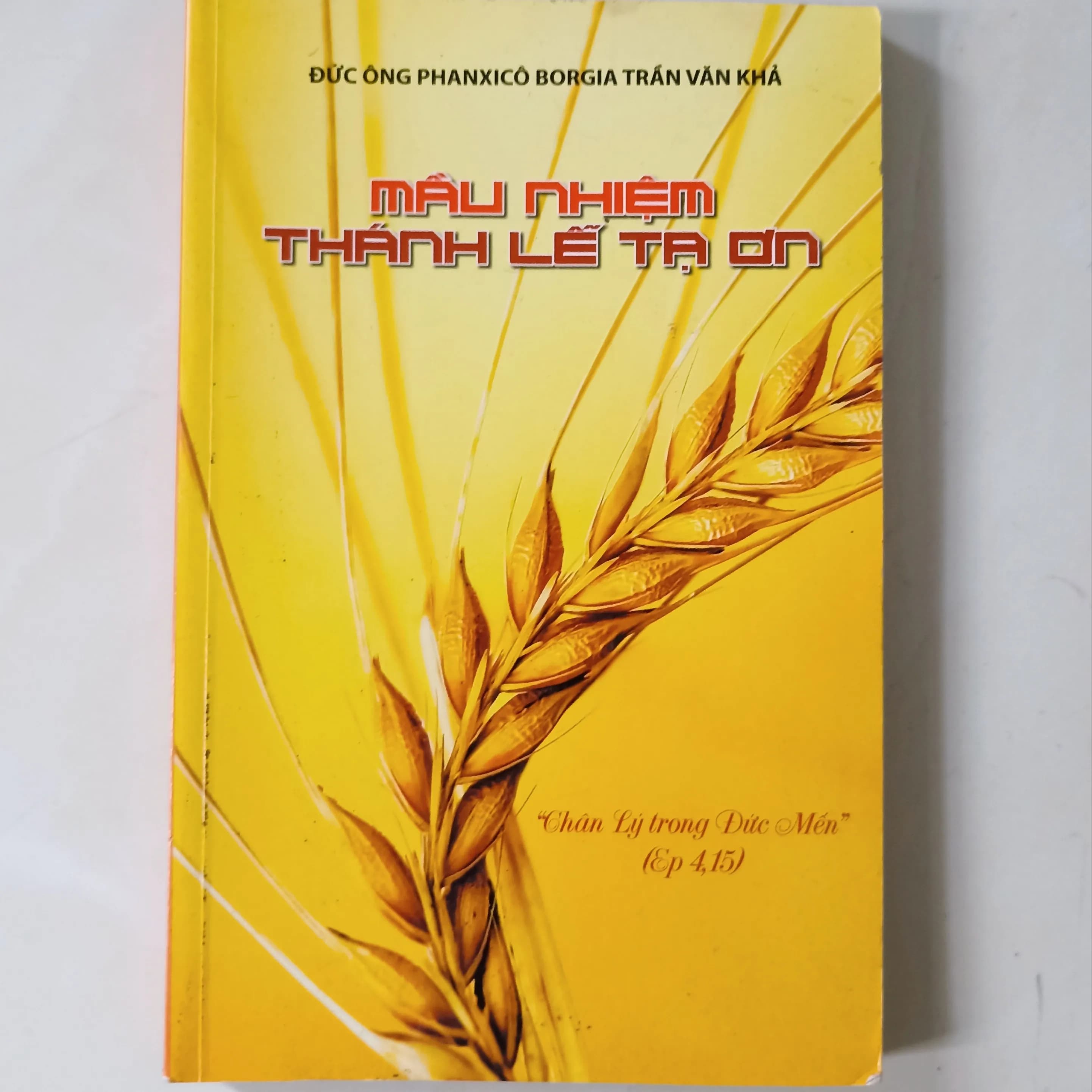 Mầu nhiệm thánh lễ tạ ơn - Image 1