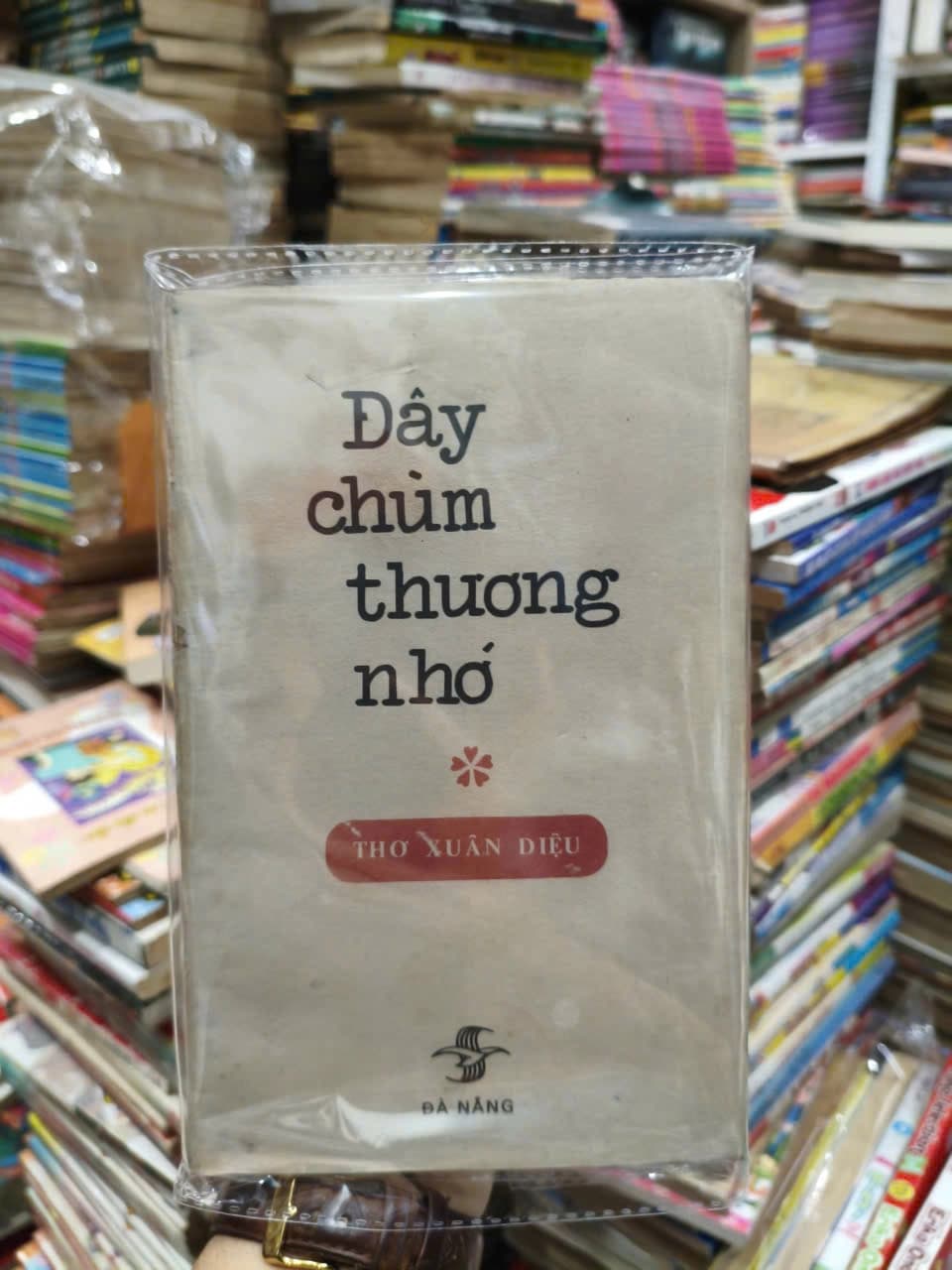 Đây Chùm Thương Nhớ - Image 1