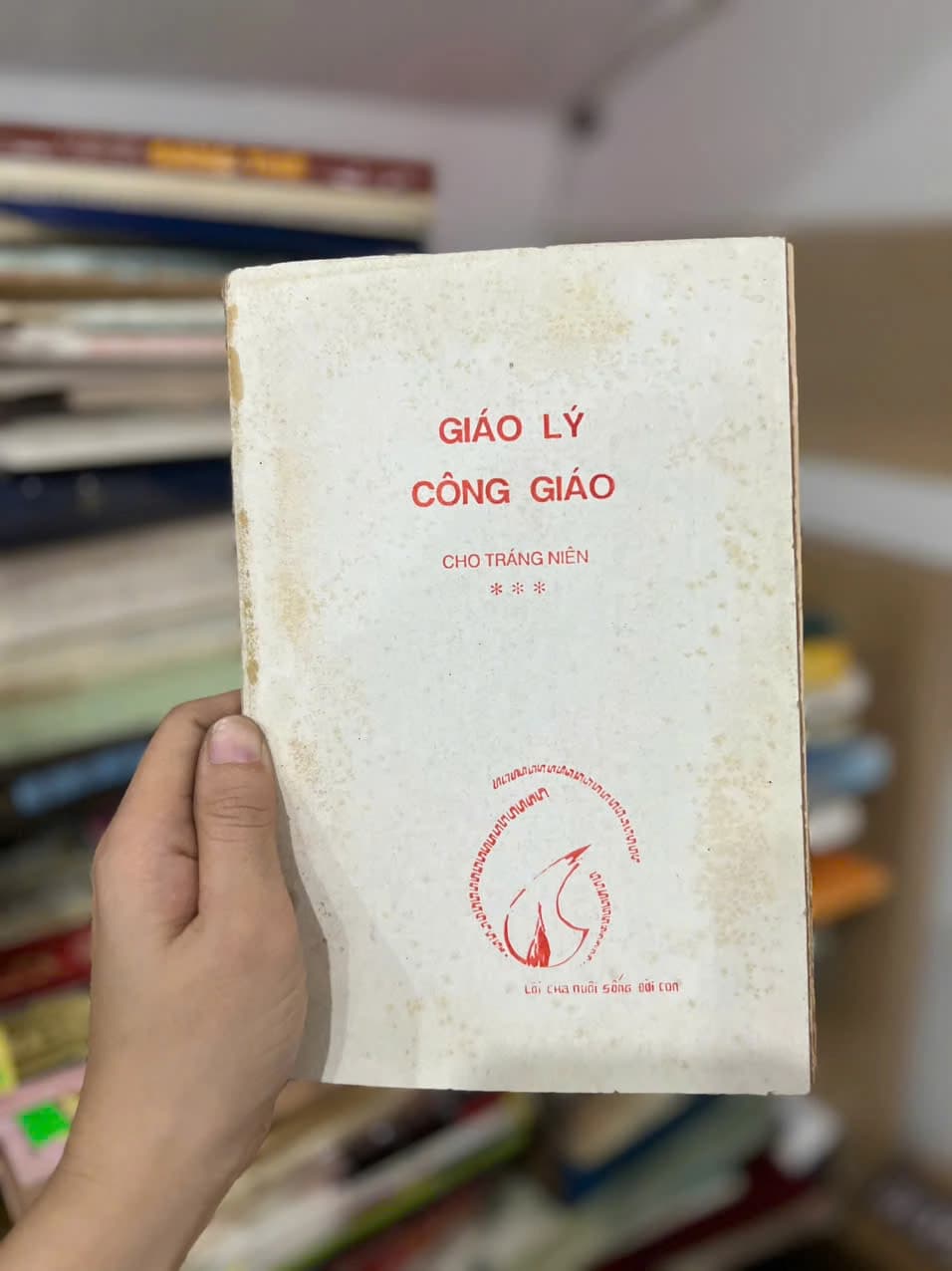 Giáo Lý Công Giáo Cho Tráng Niên - Image 1