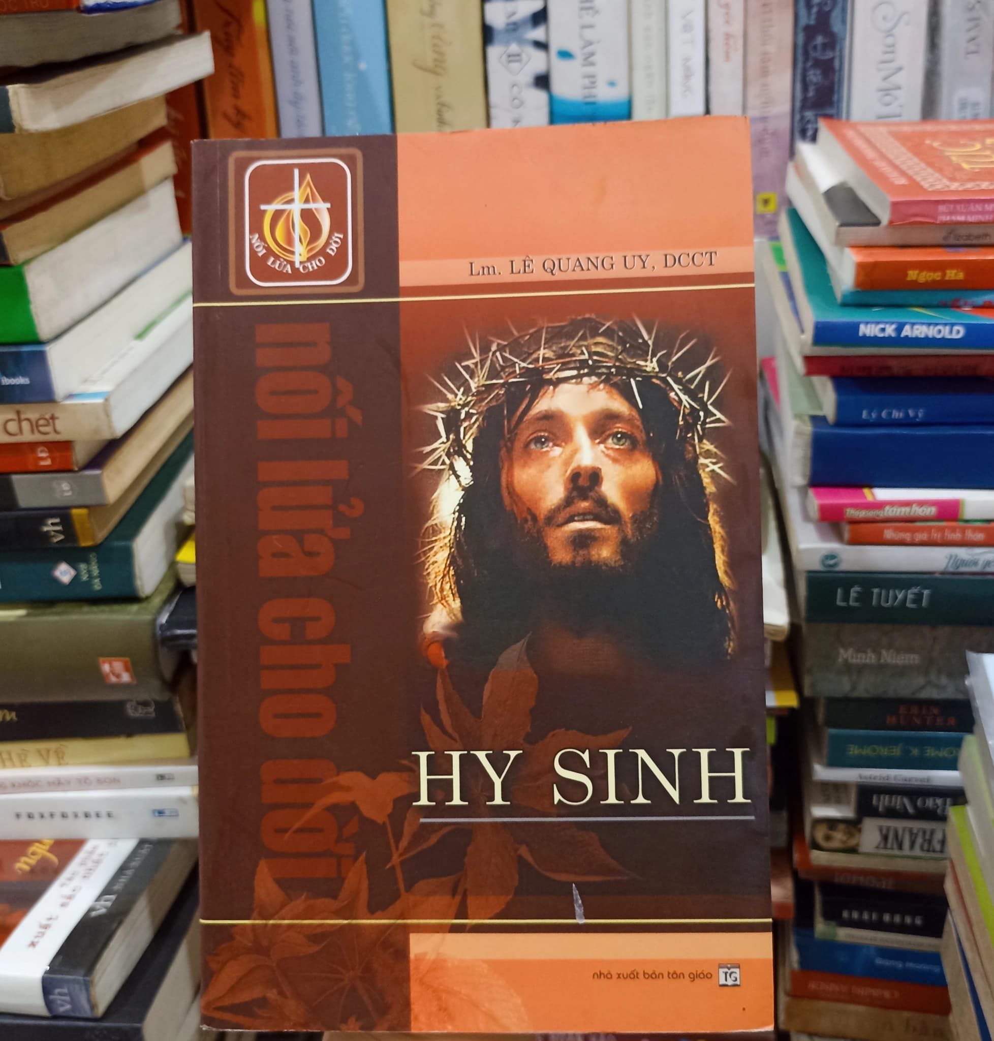Hy Sinh - Image 1