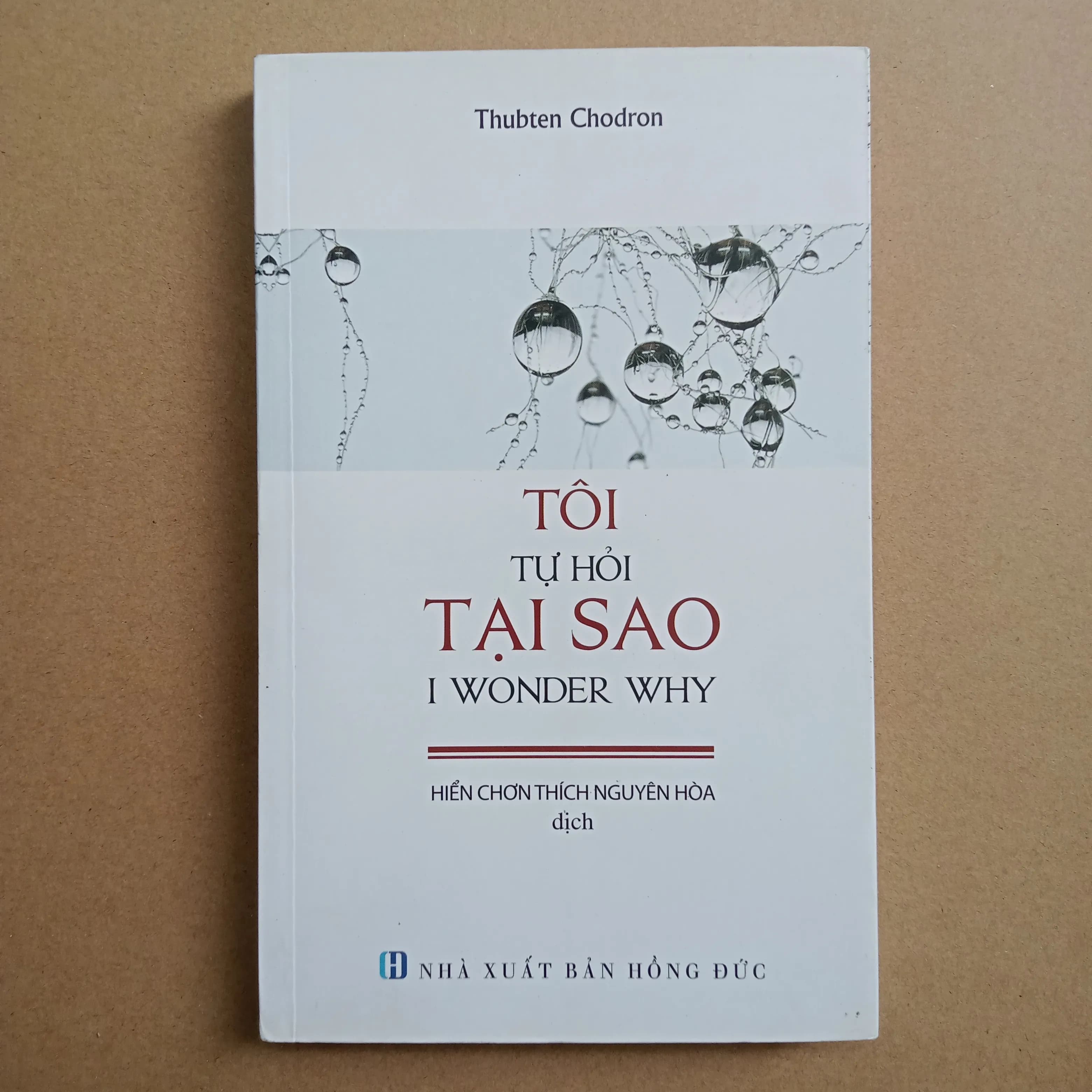 Tôi tự hỏi tại sao - Image 1