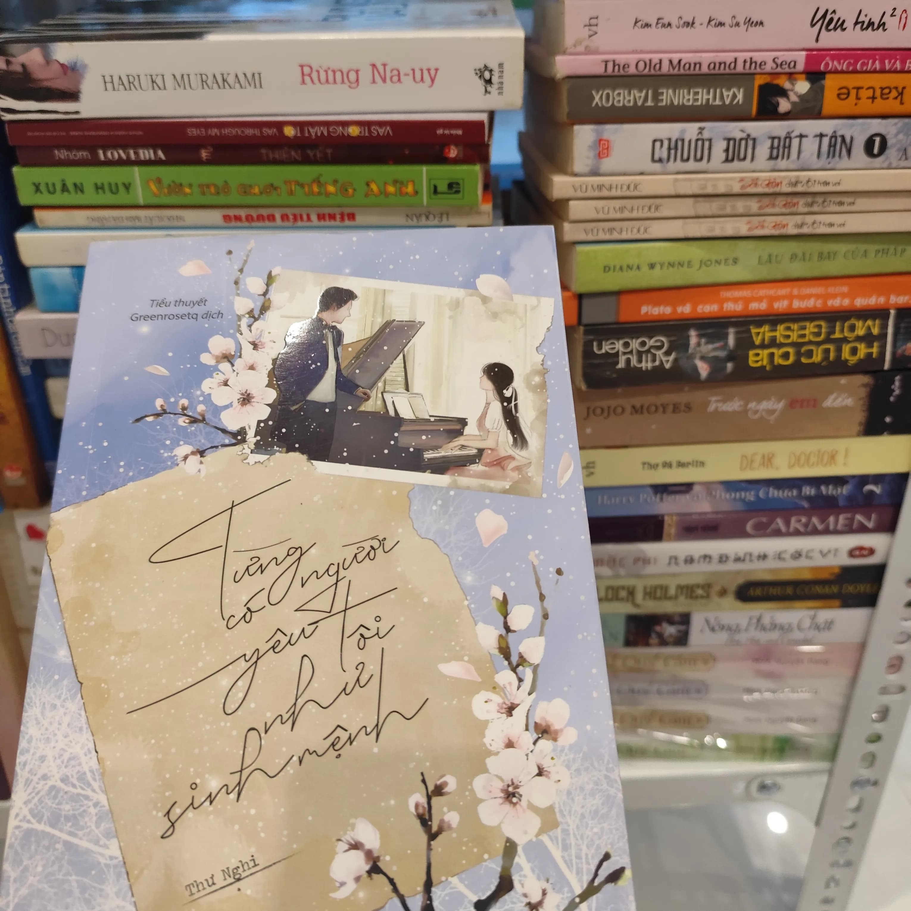 Từng có người yêu tôi như sinh mệnh - Image 1