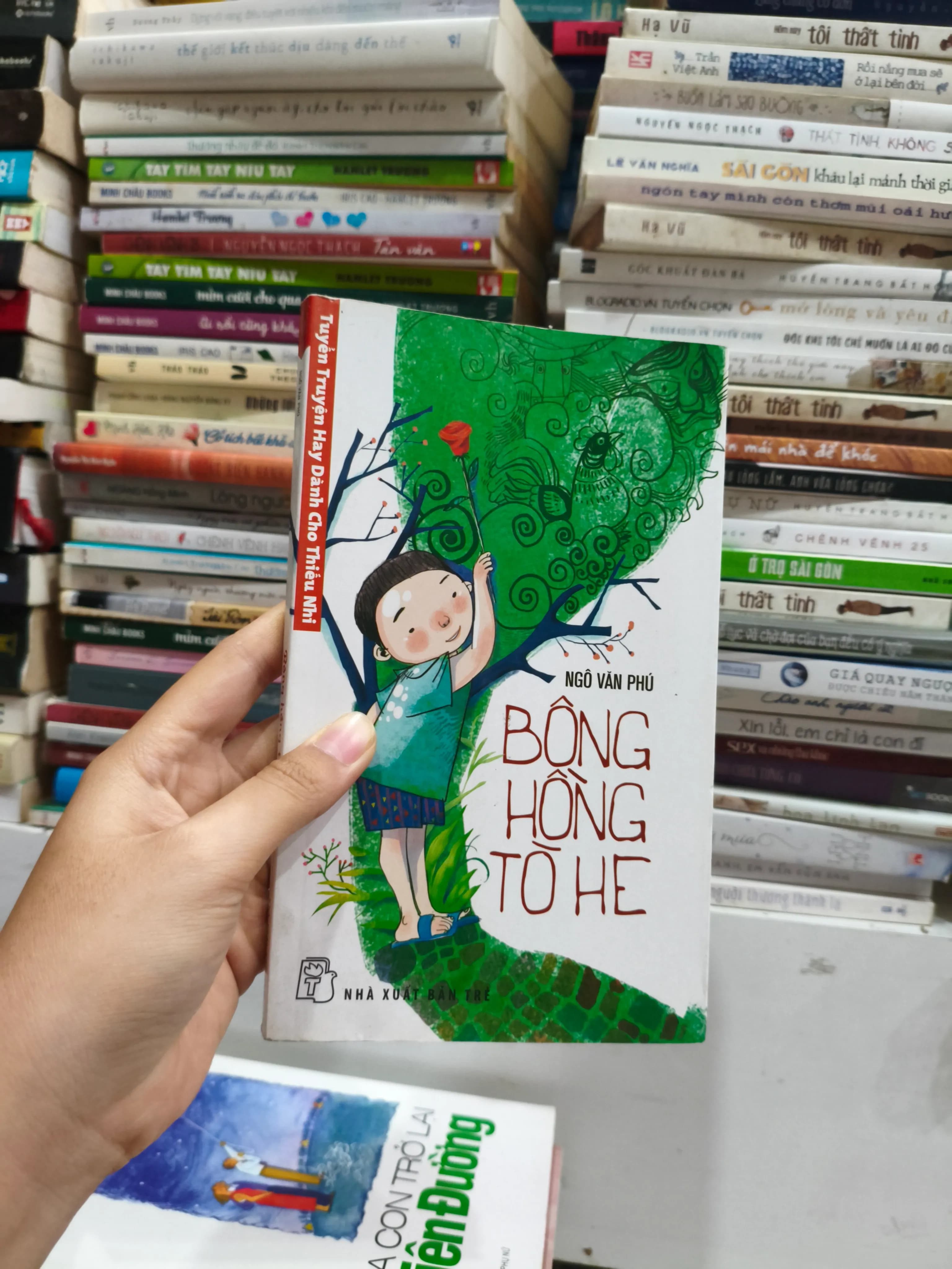 Bông Hồng Tò He - Image 1