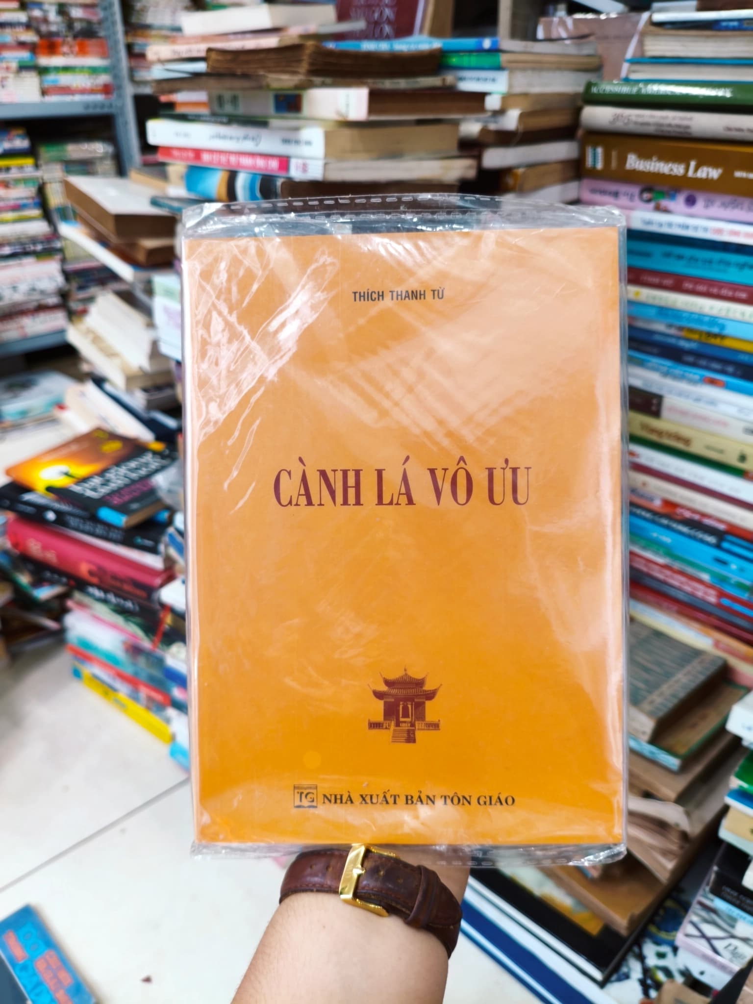 Cành lá vô ưu - Image 1
