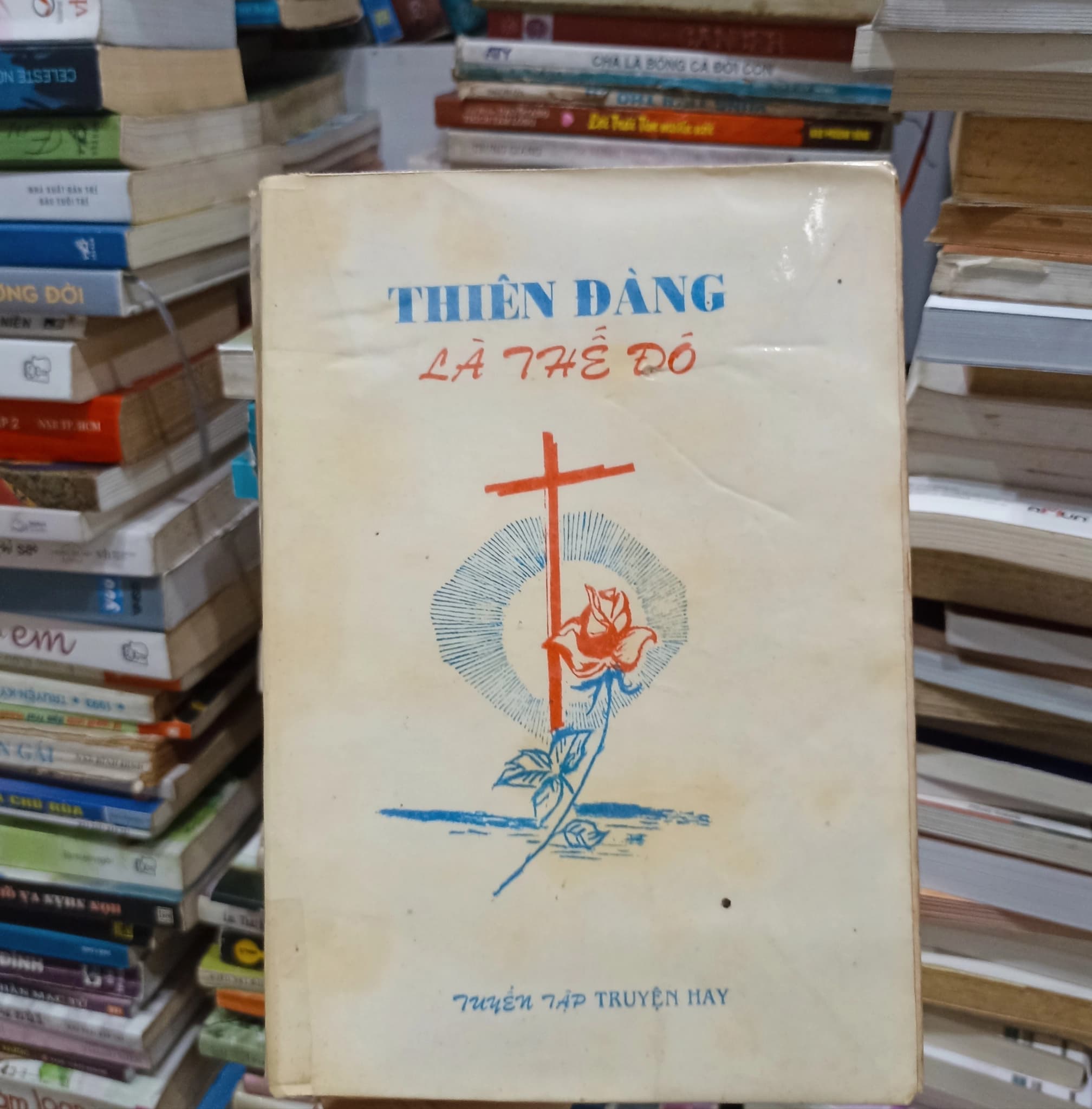 Thiên đàng là thế đó - Image 1