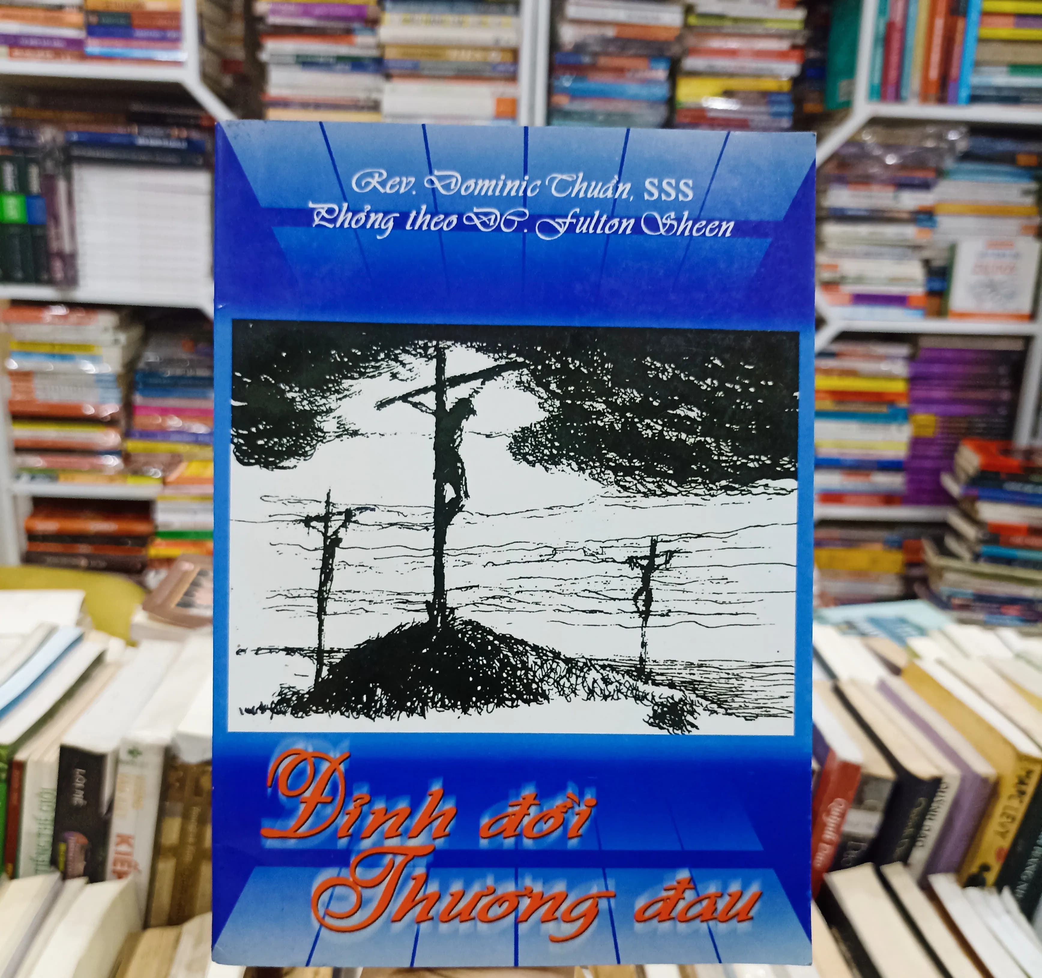 Đỉnh đồi đau thương - Image 1