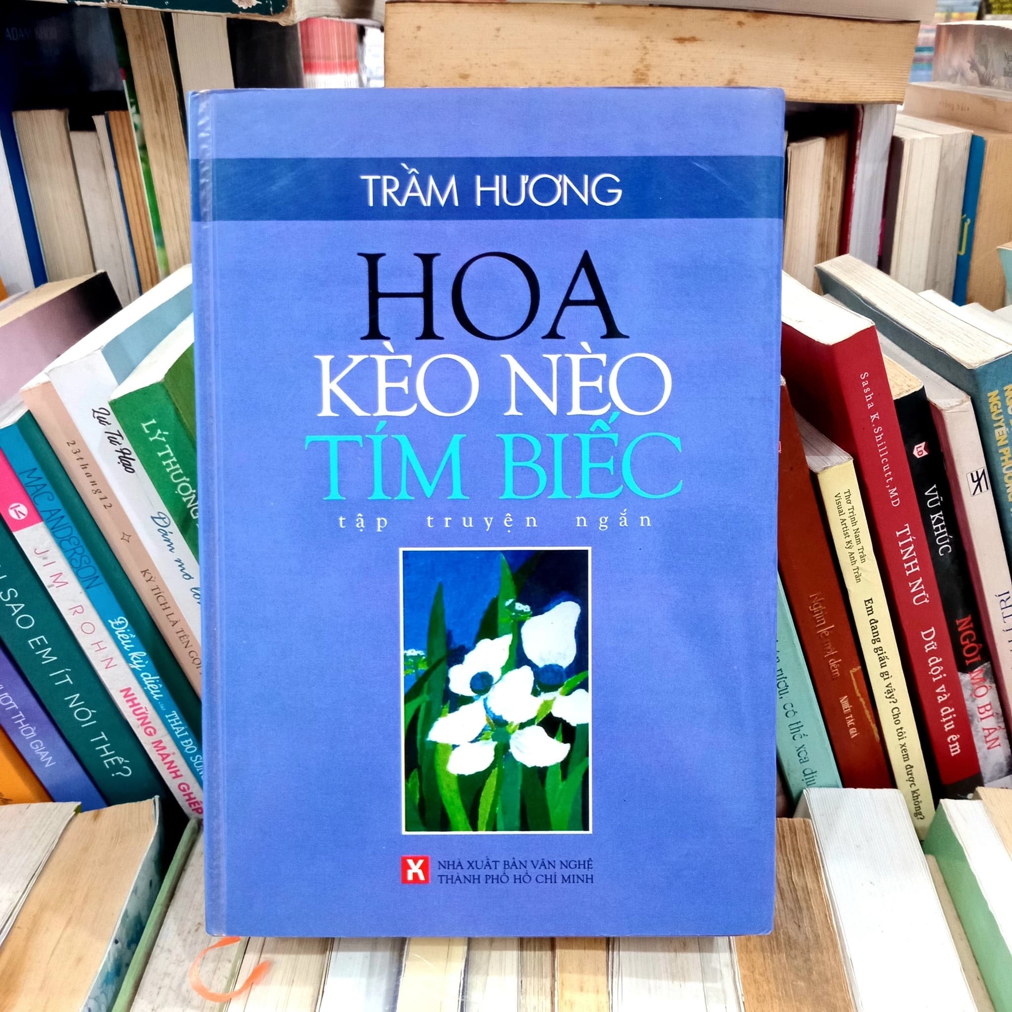 Hoa kèo nèo tím biếc - Image 1