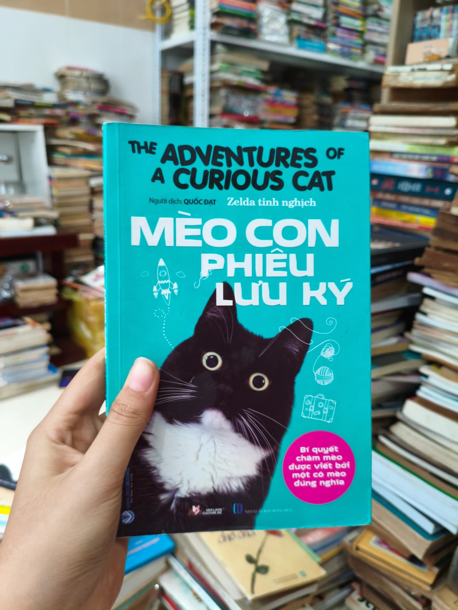 Mèo con phiêu lưu kí - Image 1