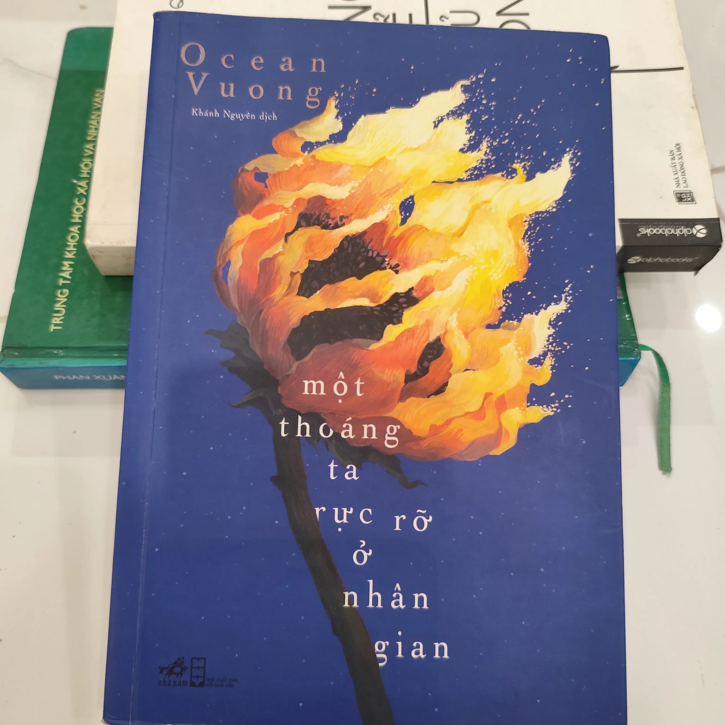 Một tháng ta rực rỡ ở nhân gian - Image 1