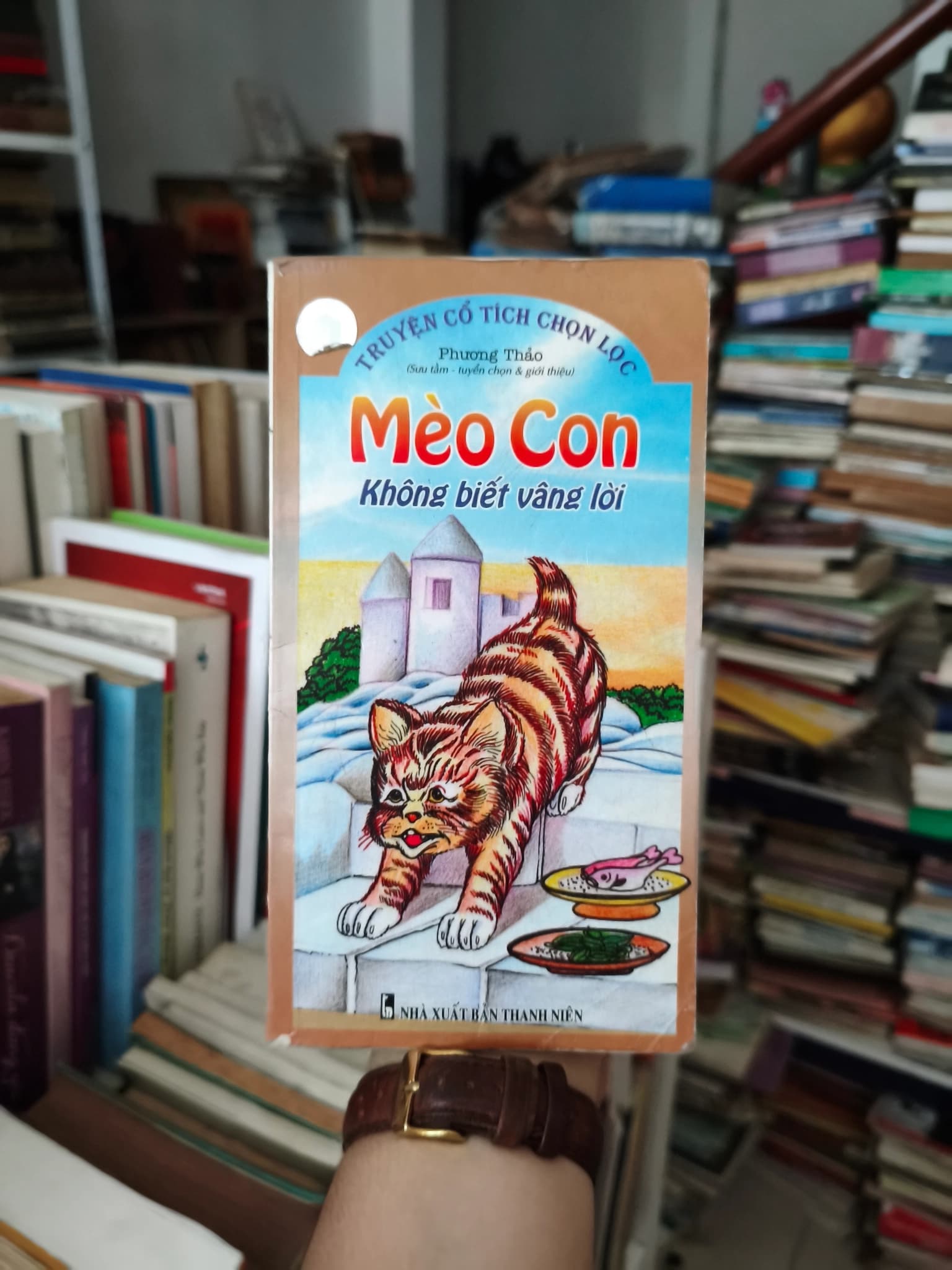 Mèo con không biết vâng lời - Image 1